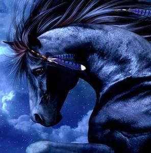 Meet your Posher, Joan